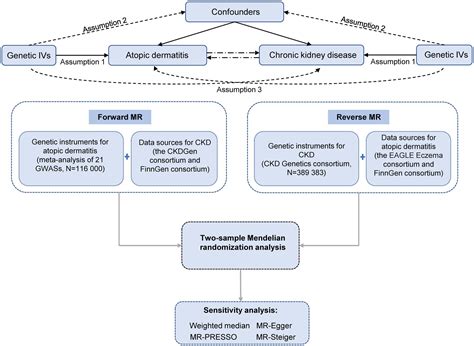 Frontiers Atopic Dermatitis And Chronic Kidney Disease A