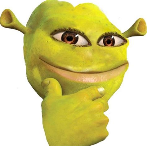 Shrek Mike Wazowski Meme Shrek Pfp Flurpy Fizzle Kulturaupice Images