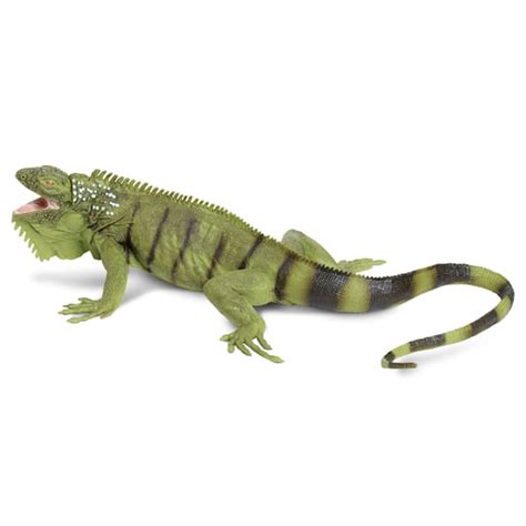 Safari Ltd Iguana Toy Figure Petco