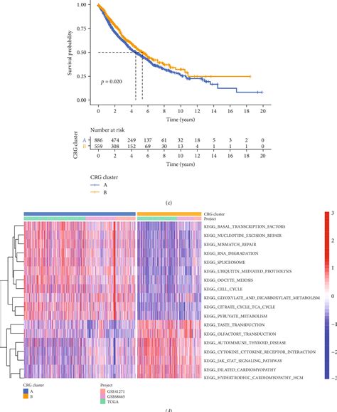 Figure 1 From Identification Of Cuproptosis Related Subtypes In Lung