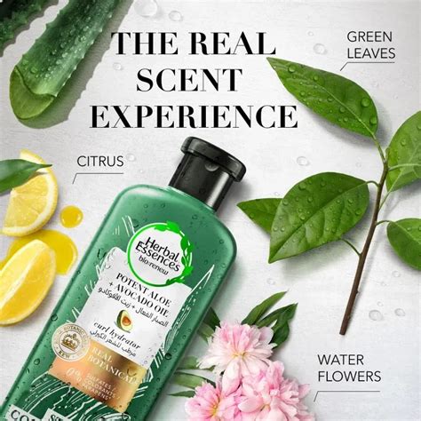 Herbal Essences Sulfate Free Potent Aloe Avocado Oil Curl Hydration