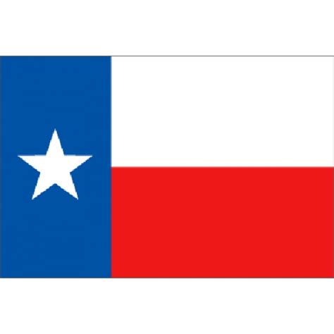 Texas Large Hand Flag World Flag Shop