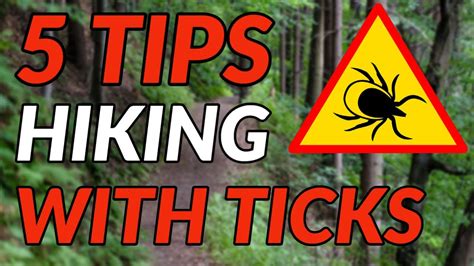 5 TIPS For HIKING With TICKS 5 Preventative Measures To Take Before