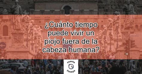 Cuánto tiempo puede vivir un piojo fuera de la cabeza humana