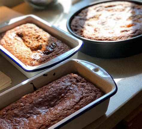 Mayim Bialik Shares Her Vegan Honey Cake Recipe For Rosh Hashanah