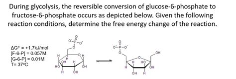 Solved During glycolysis, the reversible conversion of | Chegg.com