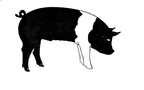 Hampshire Hog, Pig Images, Pig Drawing, Meat Shop, Pig Art, Silhouette ...