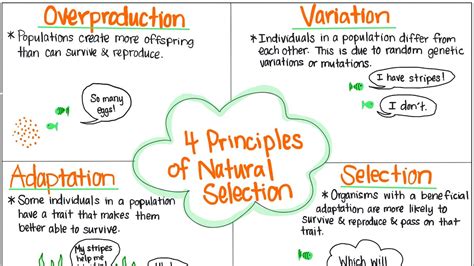 Overproduction Natural Selection