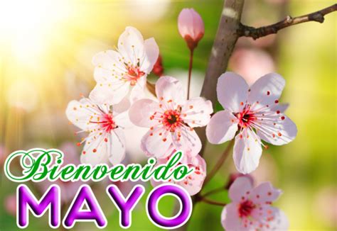 45 Imágenes de mayo con bonitos mensajes de bienvenida