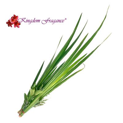 Aceite Esencial Palmarosa Kingdom Fragance Fabricante De Esencias