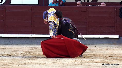 Galer A As Vio Muriel Feiner La Gran Faena De Andr S Roca Rey Al