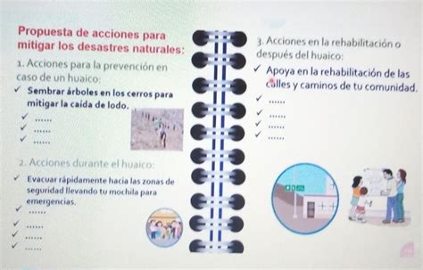 Propuestas De Acción Para Mitigar Los Desastres Naturales 1 Acción Para