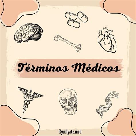 Terminolog A Medica Yudi Andrea Yate Udocz