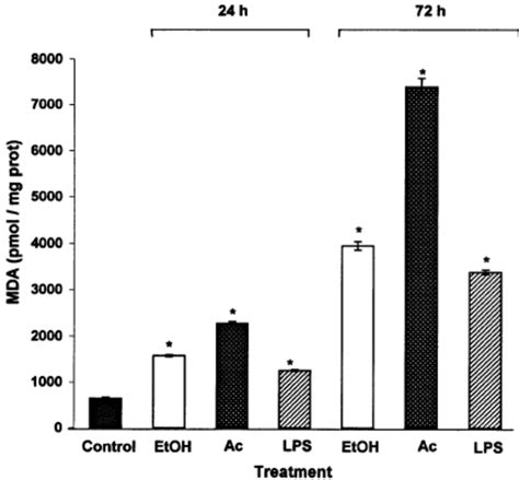 Lipid Peroxidation Of Hepg2 Cells Treated 24 And 72 H With 50 Mm