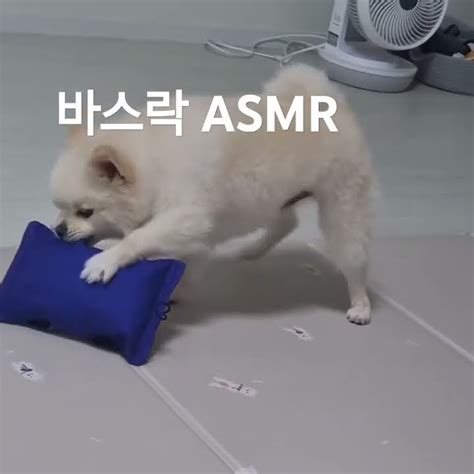 Asmr Youtube