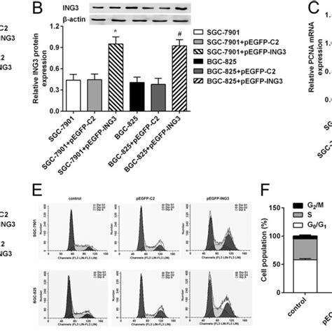 Effects Of ING3 Overexpression On Cells Apoptosis In GC Cells A The GC