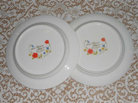 2 Mikasa Japan JUST FLOWERS Dinner Plates And 13 Similar Items