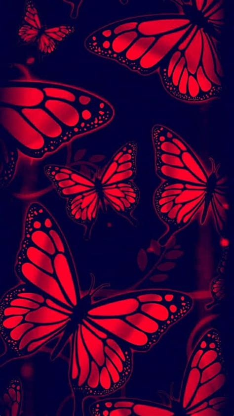 100 Roter Schmetterling Wallpaper KOSTENLOS Wallpapers