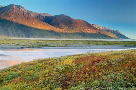 Brooks Range | Alaska. | Photos by Ron Niebrugge