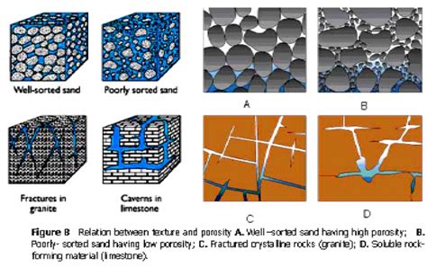 Compaction Reduces The Total Pore Space And The Mean Pore Size Of The