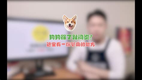 狗狗得了趾间炎？这里有一份管用的处方 Youtube