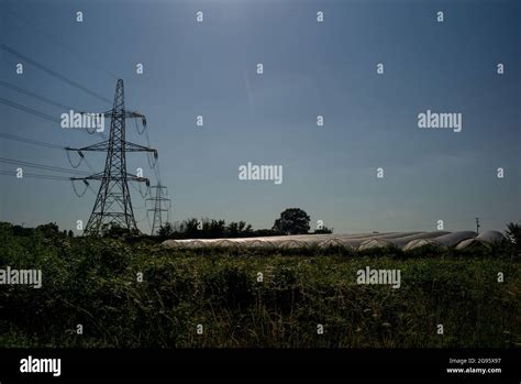 Steel Electricity Lattice Towers Next To Polytunnels Agricultural