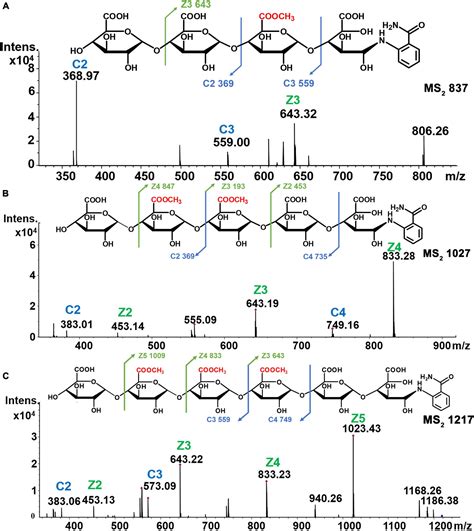 Frontiers Determining Methyl Esterification Patterns In Plant Derived