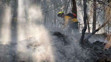 Incendios Forestales En Han Afectado Mil Hect Reas