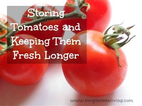 Storing Tomatoes And Keeping Them Fresh Longer Simple Clean Living