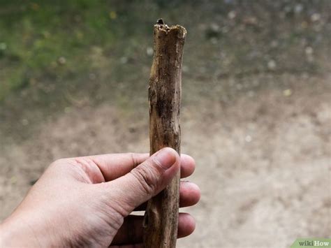 How To Make A Walking Stick 8 Steps With Pictures Walking Sticks
