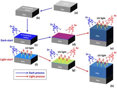 Schematic Of The Epitaxial Growth Procedure Of Znsegaas Download