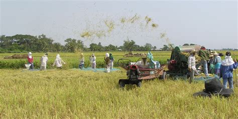 Landbank Da To Fast Track Aid Delivery To Rice Farmers • The Market