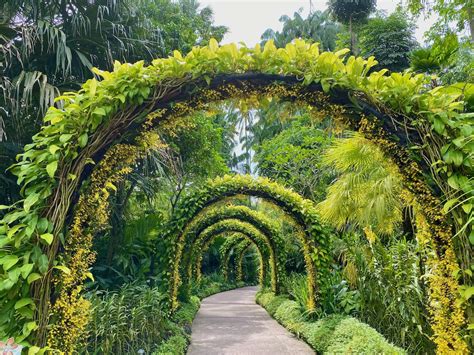 Perch Devi Visitare Due Volte I Bellissimi Giardini Botanici Di