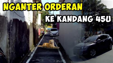 Antar Orderan Ke Kandang 45U GRAB FOOD YouTube