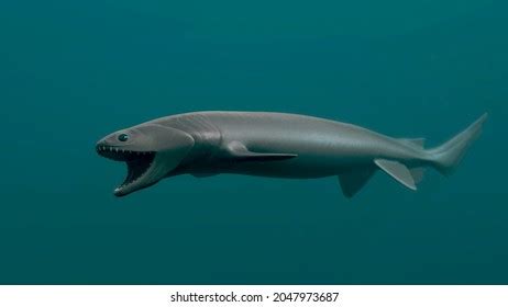 Frilled Shark Deep Sea 3d Rendered Stock Illustration 2047973687 | Shutterstock