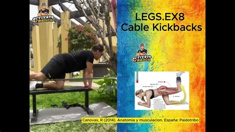 Legs Ex 8 Cable Kickbacks Youtube