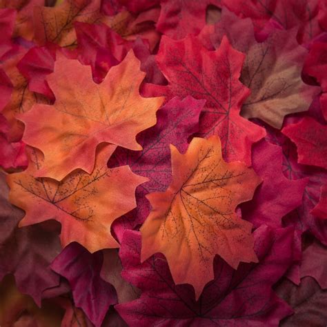 Hojas de arce otoño textura hermosa Foto Gratis