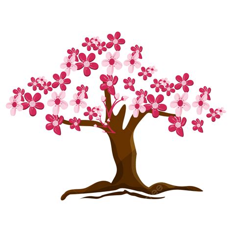 Cherry Blossoms White Transparent Cherry Blossoms Vector Design 21