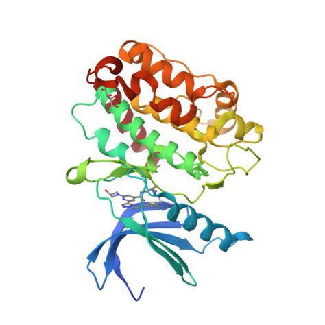 Rcsb Pdb Bab The Structure Of Human Camkii With Bound Inhibitor