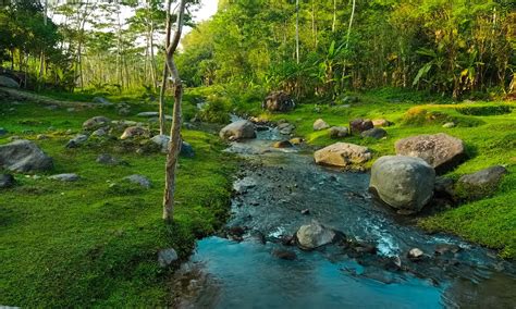 Ledok Sambi Kaliurang Tempat Wisata Tersembunyi Yang Menenangkan Hati