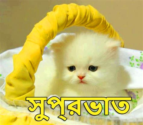 Bengali Good Morning Wishes Good Morning Wishes Images