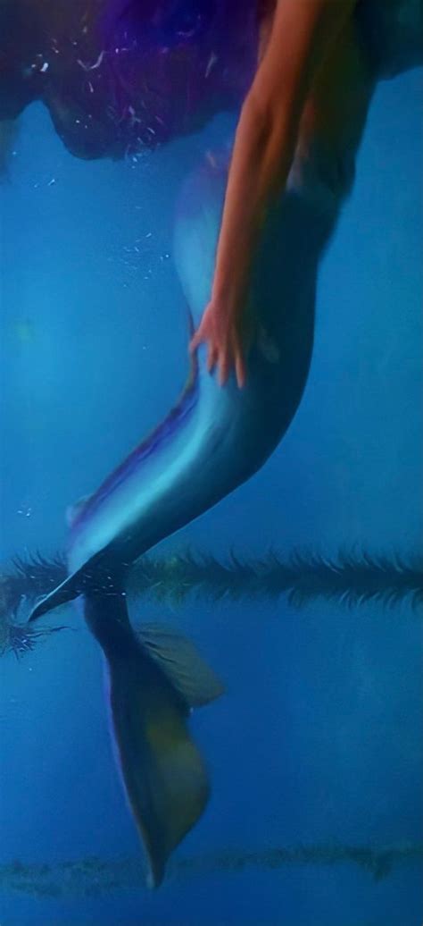 Pin By Crosslyn G Castillo On Mermaid Tail Prosthetics Realistic