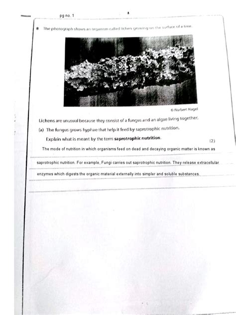 Chapter Fungus Worksheet Solution | PDF | Decomposition | Glucose 