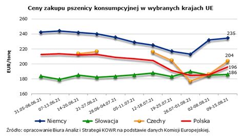 Wysokie Ceny Zb Jakie S Prognozy Sprawd Szczeg Y