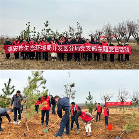 为青山增绿，为党旗添彩，泰安市生态环境局开发区分局联合企业开展主题党日活动党建头条客户端