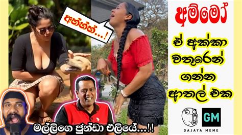 මල්ලිගේ ජුන්ඩා එළියේ 😂😂 Sinhala Athal Meme Meme Sinhala Gajaya Meme Youtube