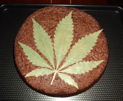 La Recette Ultime De Space Cake Au Cannabis Zambeza Seeds