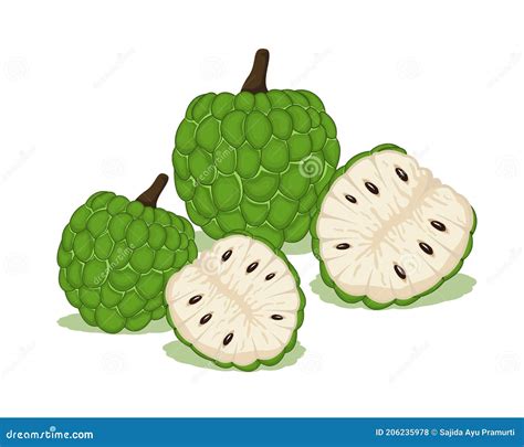 Fresh Cherimoya Fruit Annona Cherimola With Leaves On A White