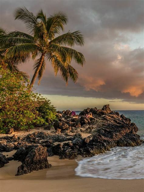 Most Beautiful Beaches In Texas Classy Nomad