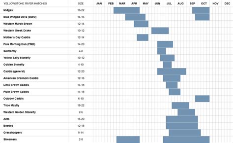 Yellow Stone River Fly Hatch Chart